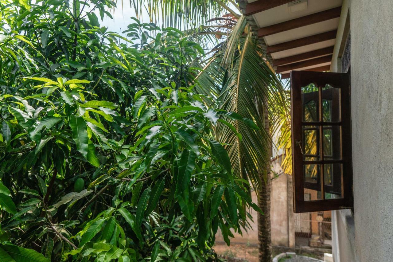 Apartamento Mango Shade Weligama Exterior foto